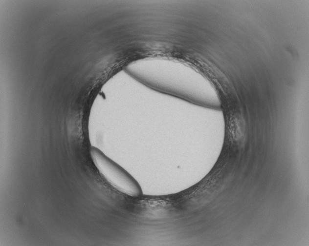 X0000115440512200912161457