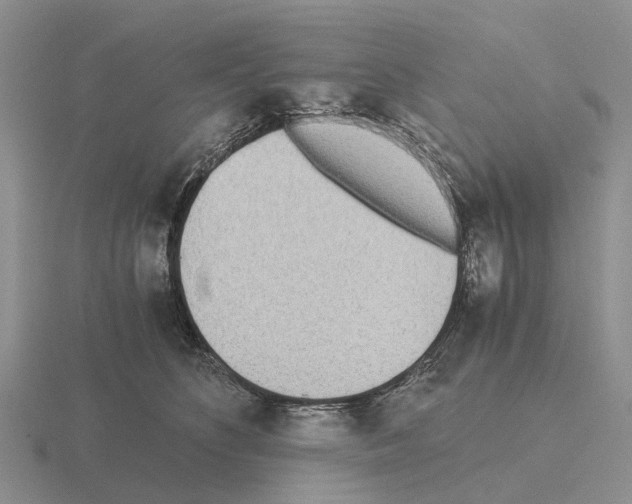 X0000115440516200912161457