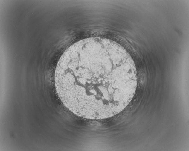 X0000115440519200912161457