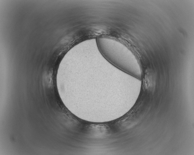 X0000115440520200912161457