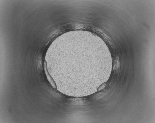 X0000115440524200912161457