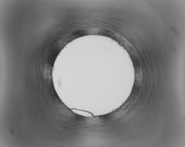 X0000115440525200912161457