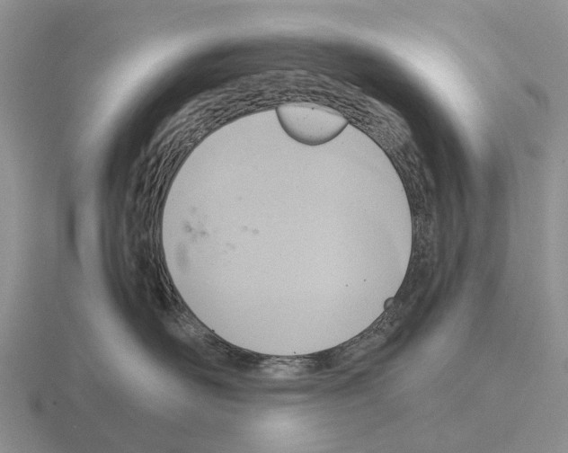 X0000115440526200912161457