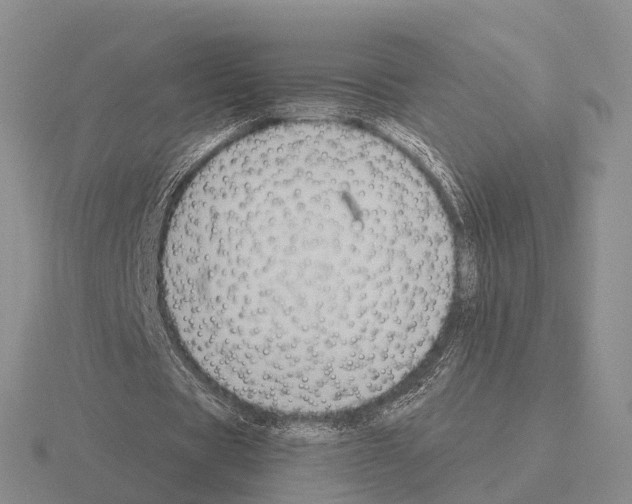 X0000115440529200912161456