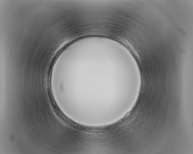 X0000115440530200912161456