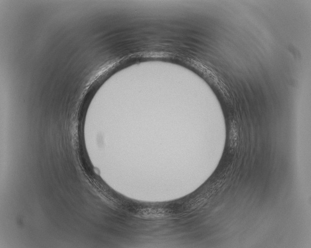 X0000115440535200912161456