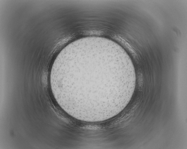 X0000115440537200912161456