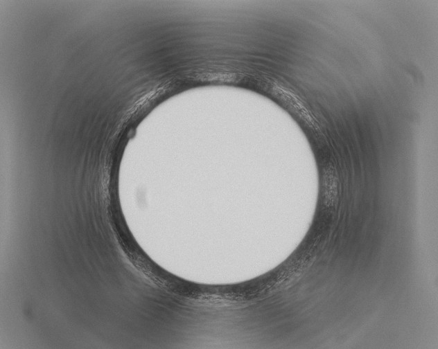 X0000115440538200912161456