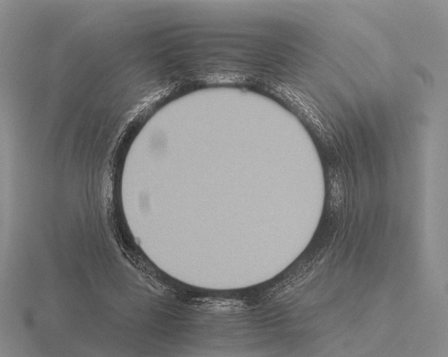 X0000115440539200912161456