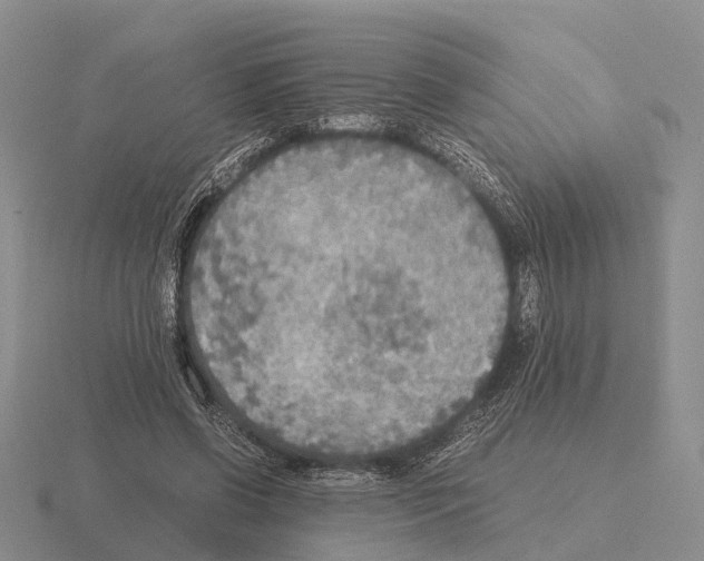 X0000115440542200912161456