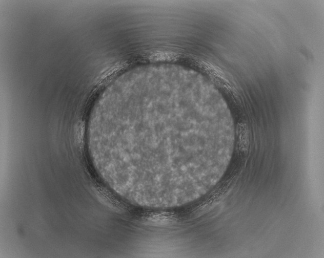 X0000115440550200912161456