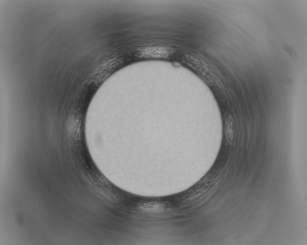 X0000115440551200912161456