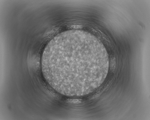 X0000115440553200912161456