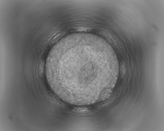 X0000115440554200912161456