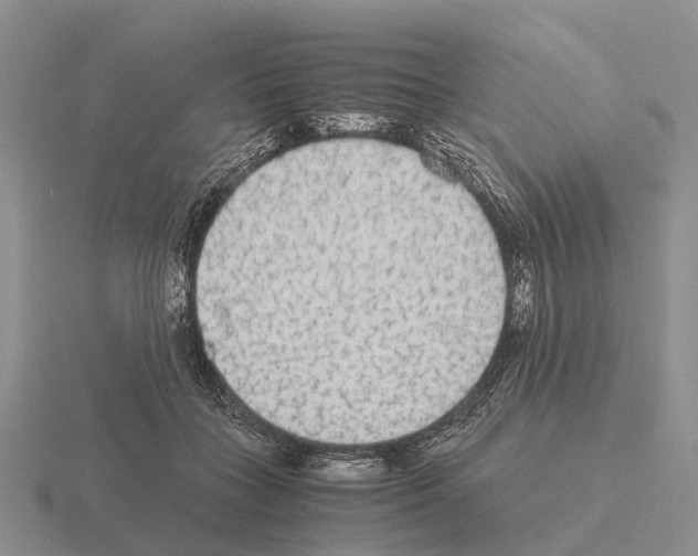 X0000115440555200912161456
