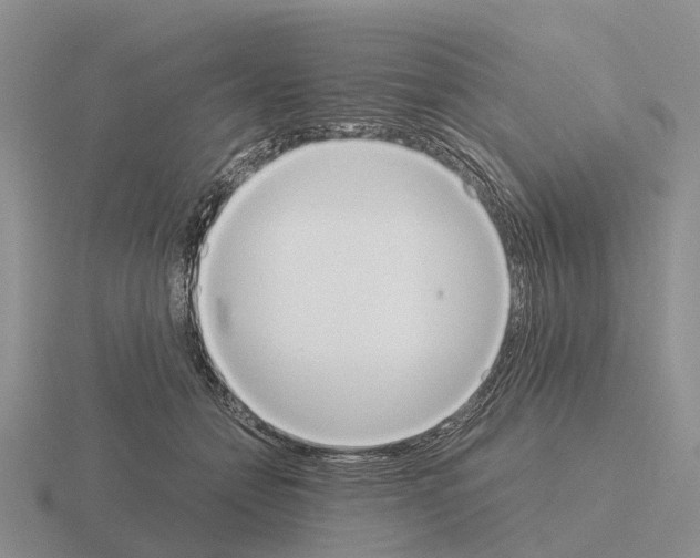 X0000115440558200912161456