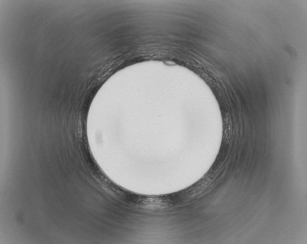 X0000115440562200912161456