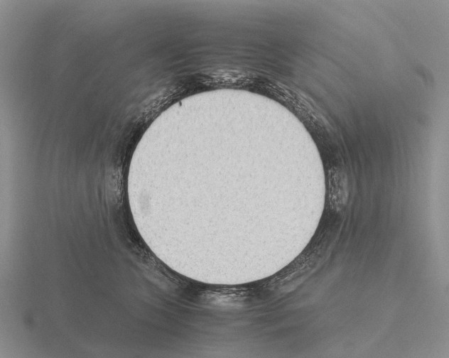 X0000115440563200912161456