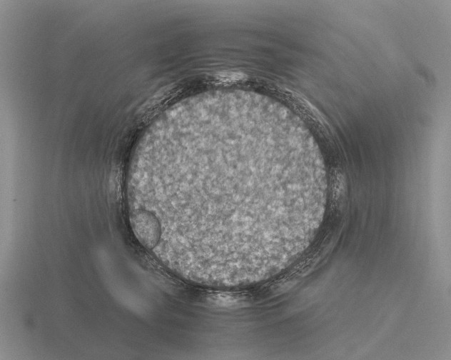 X0000115440565200912161456