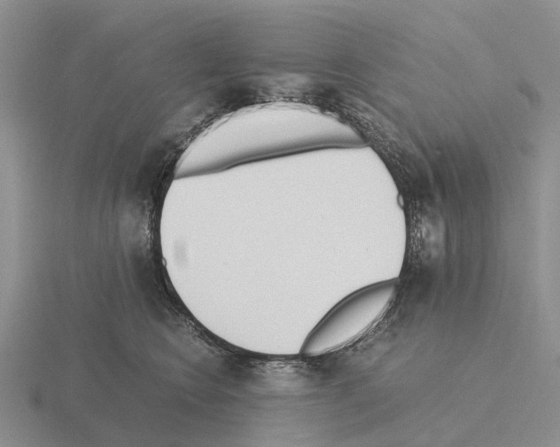 X0000115440566200912161456