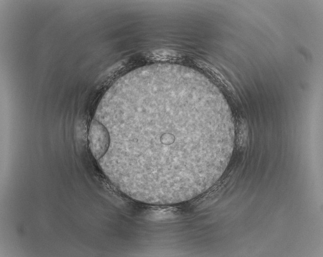 X0000115440569200912161457