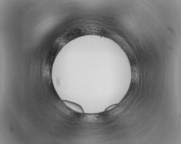 X0000115440573200912161457