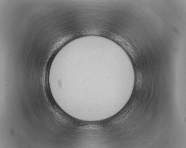 X0000115440578200912161456
