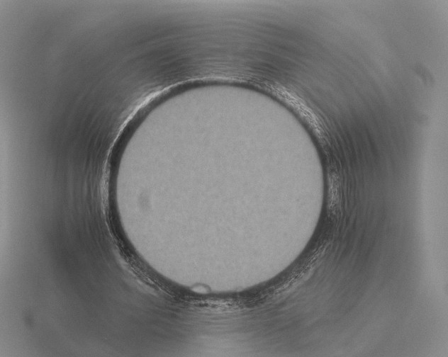 X0000115440580200912161456