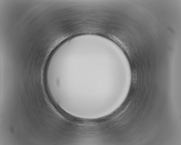 X0000115440581200912161456