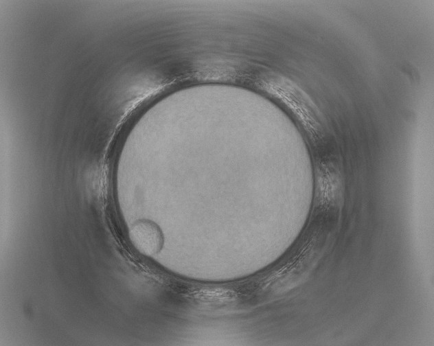 X0000115440583200912161456