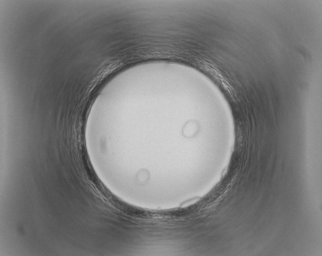 X0000115440585200912161456