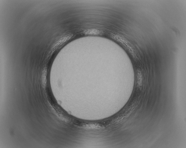 X0000115440586200912161456