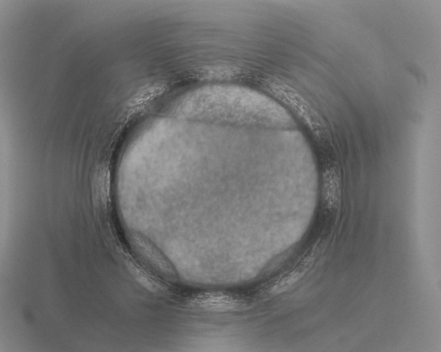 X0000115440589200912161456