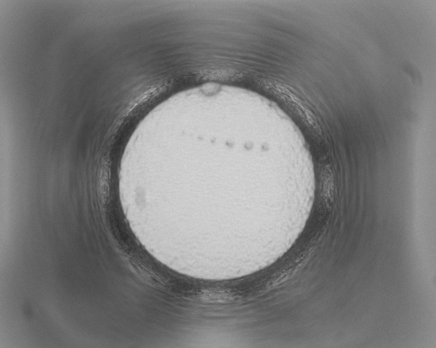 X0000115440591200912161456