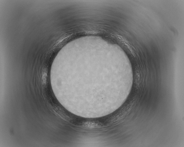 X0000115440596200912161456