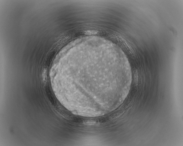X0000115440598200912161456