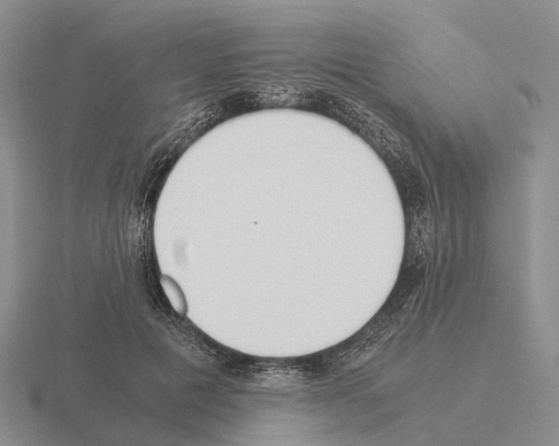 X0000115440601200912161456
