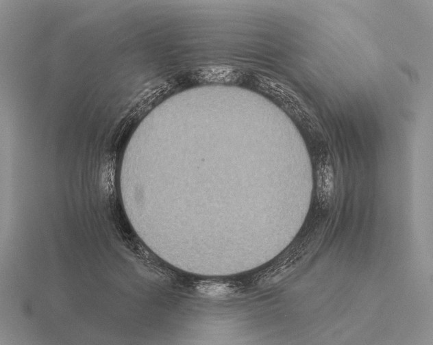X0000115440602200912161456