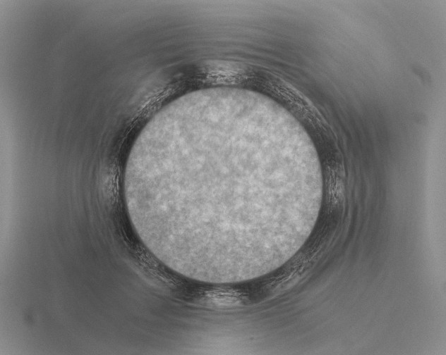 X0000115440603200912161456