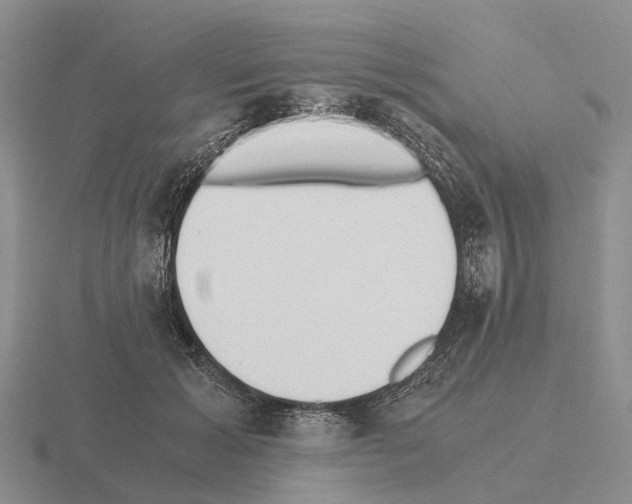 X0000115440605200912161456