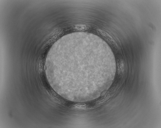 X0000115440606200912161456