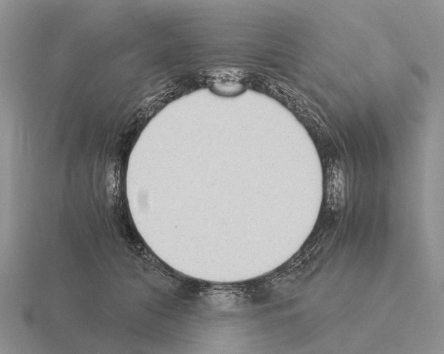 X0000115440608200912161456