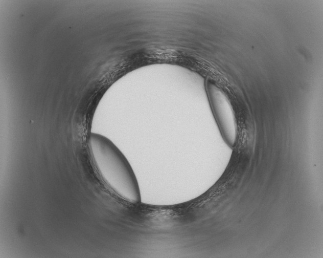 X0000115440609200912161456