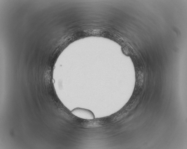 X0000115440612200912161456