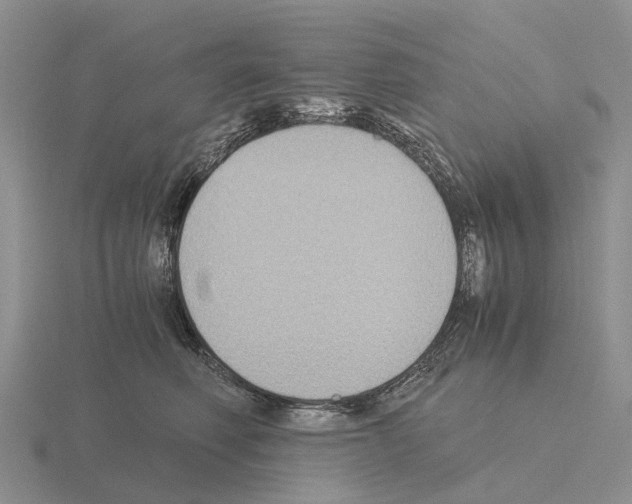 X0000115440614200912161456