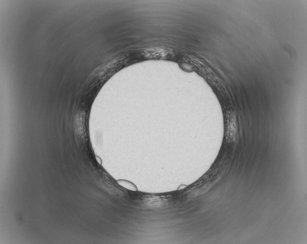 X0000115440616200912161456