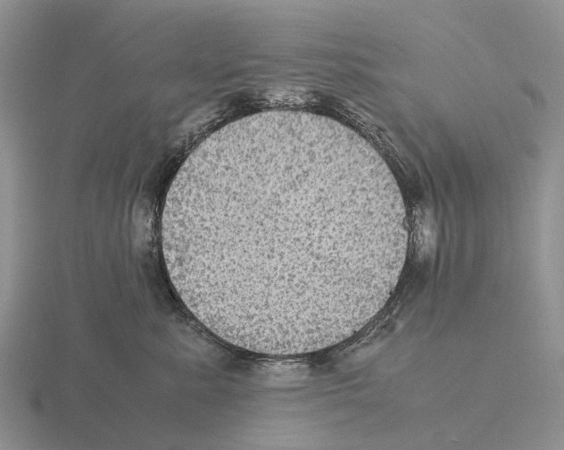 X0000115440619200912161455