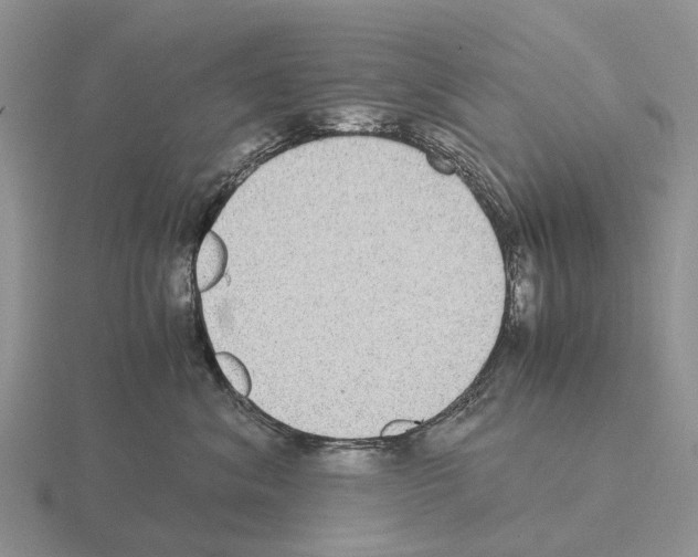 X0000115440620200912161455