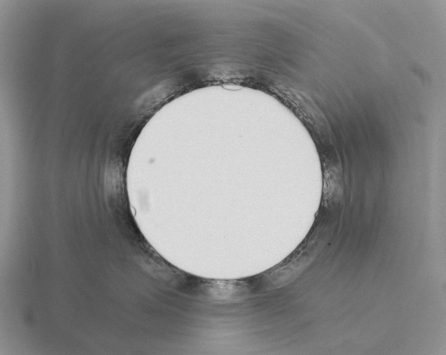 X0000115440623200912161455