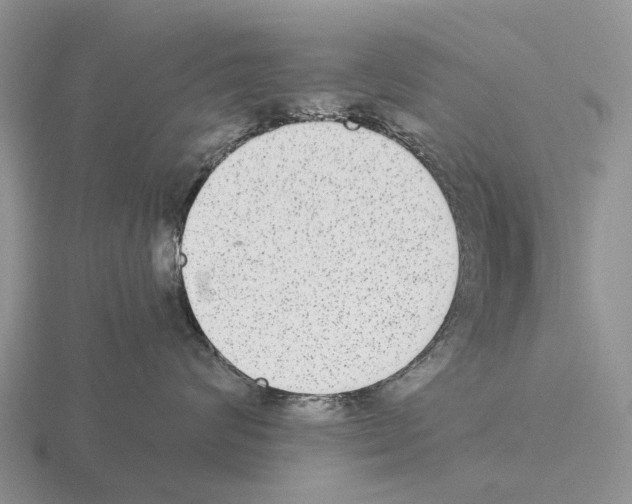 X0000115440624200912161455